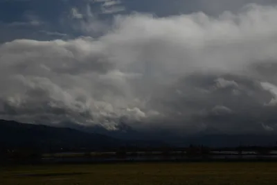 DSC_5771 (Large).JPG